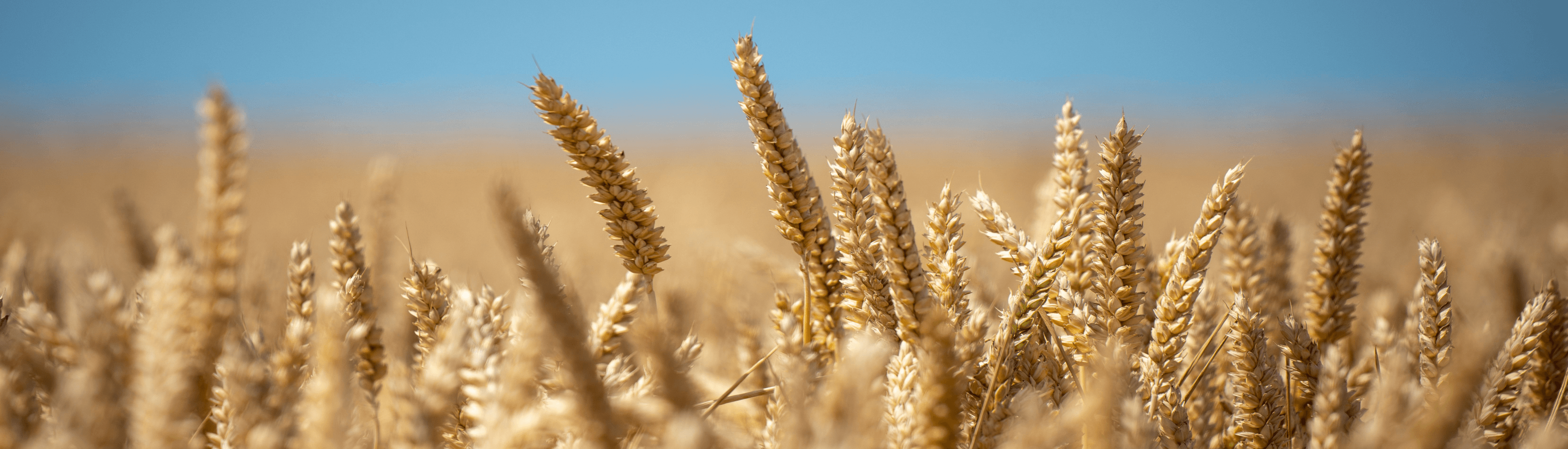 Soil Health Solutions