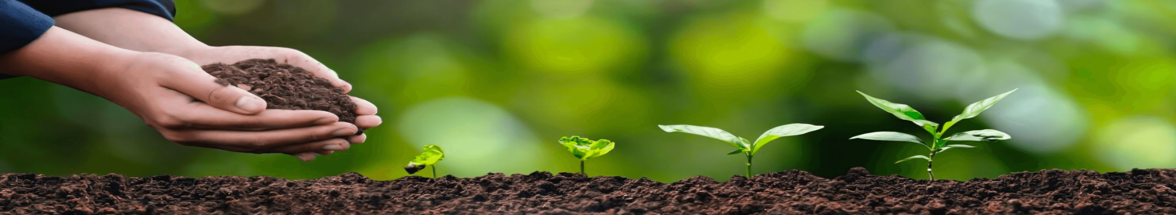 Agricultural Innovation & Technology